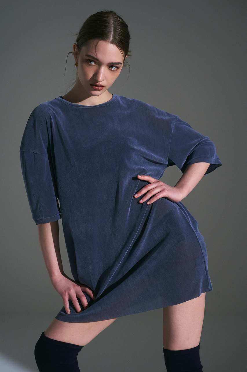 フロッキーチュールベアドレス (ブルーグレー) Flocked Tulle Dress (Blue Gray) /  26AW