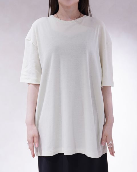 シアーオーバーTシャツ (ライトグリーン) Sheer Over T-Shirts (Light green) / 26SS