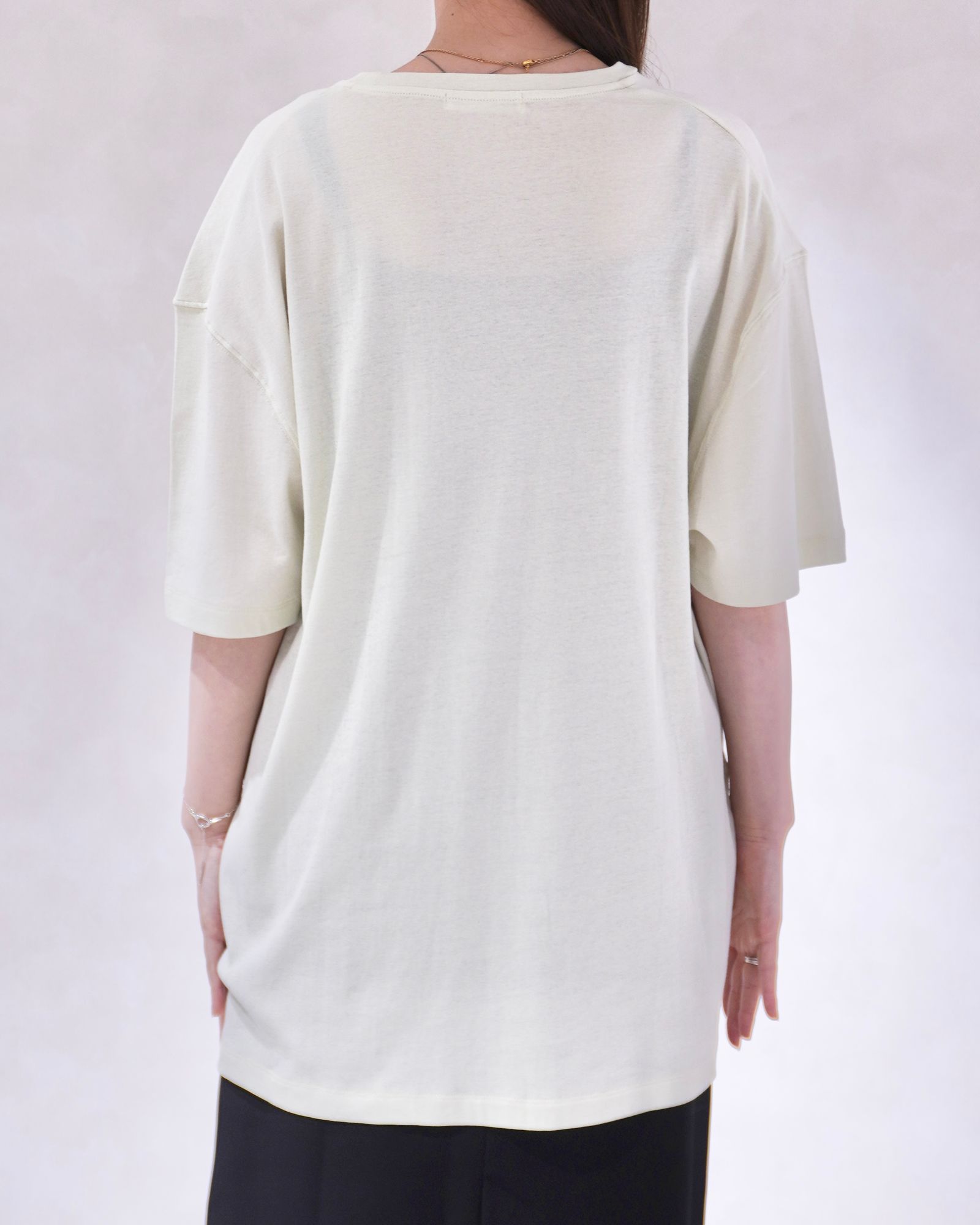 シアーオーバーTシャツ (ライトグリーン) Sheer Over T-Shirts (Light green) / 26SS