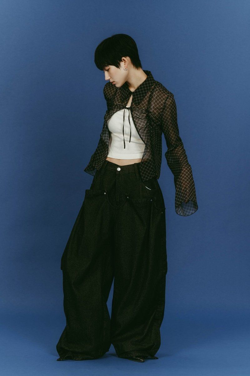 sheer collared blouse (Black) / シアー ブラウス (ブラック) / 26SS
