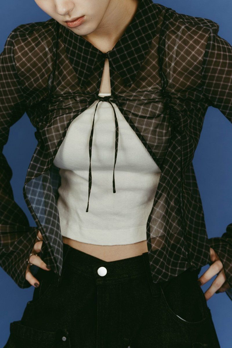 sheer collared blouse (Black) / シアー ブラウス (ブラック) / 26SS