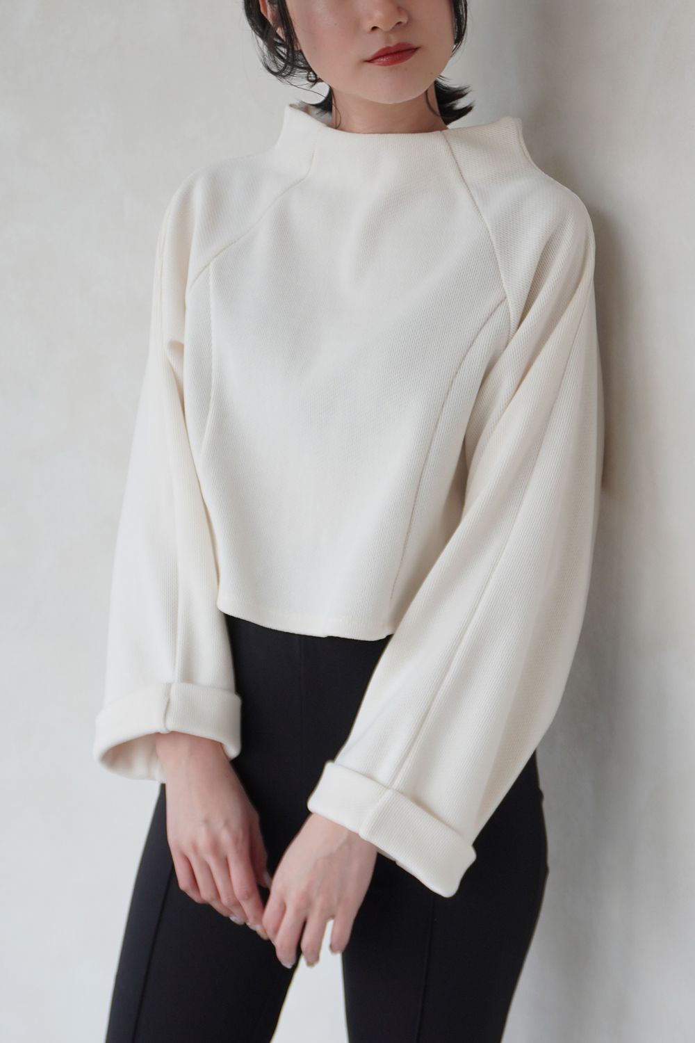 MOCKNECK CROPPED TOPS / モックネッククロップドトップス (アイボリー)