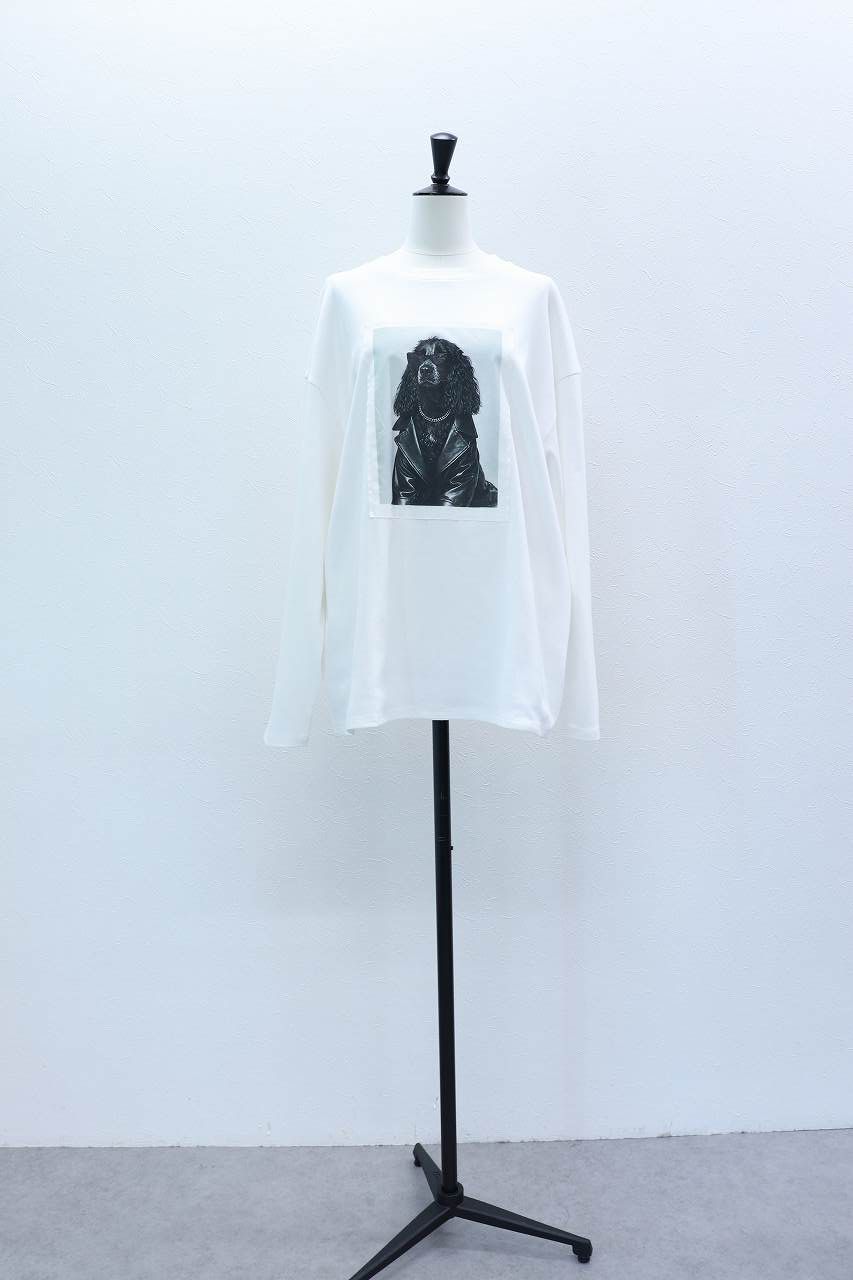 レイヤープリントロンT (ホワイト) Layered long-sleeve graphic T-shirt (White) / 26AW