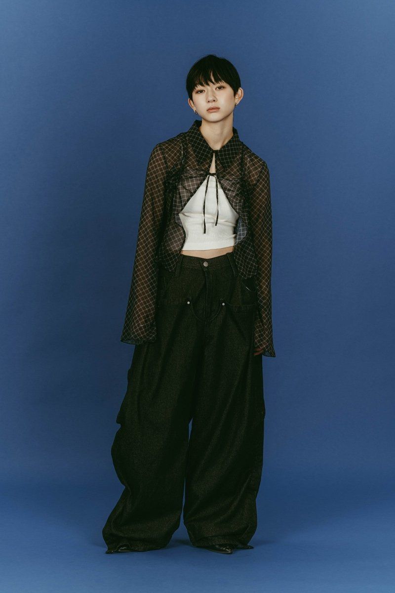 sheer collared blouse (Black) / シアー ブラウス (ブラック) / 26SS