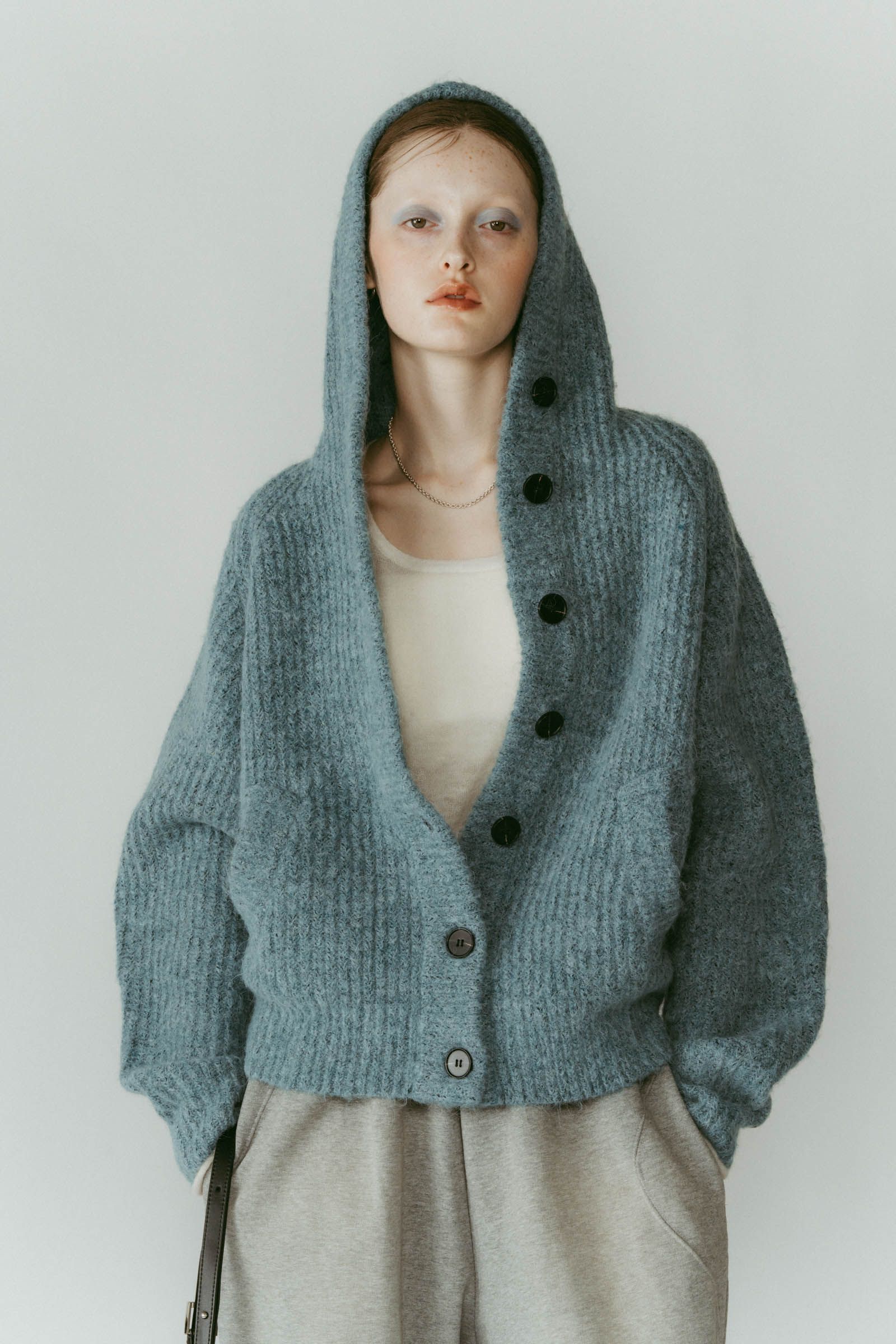hooded cardigan knit / フーデッド カーディガンニット (ブルー) / 25AW