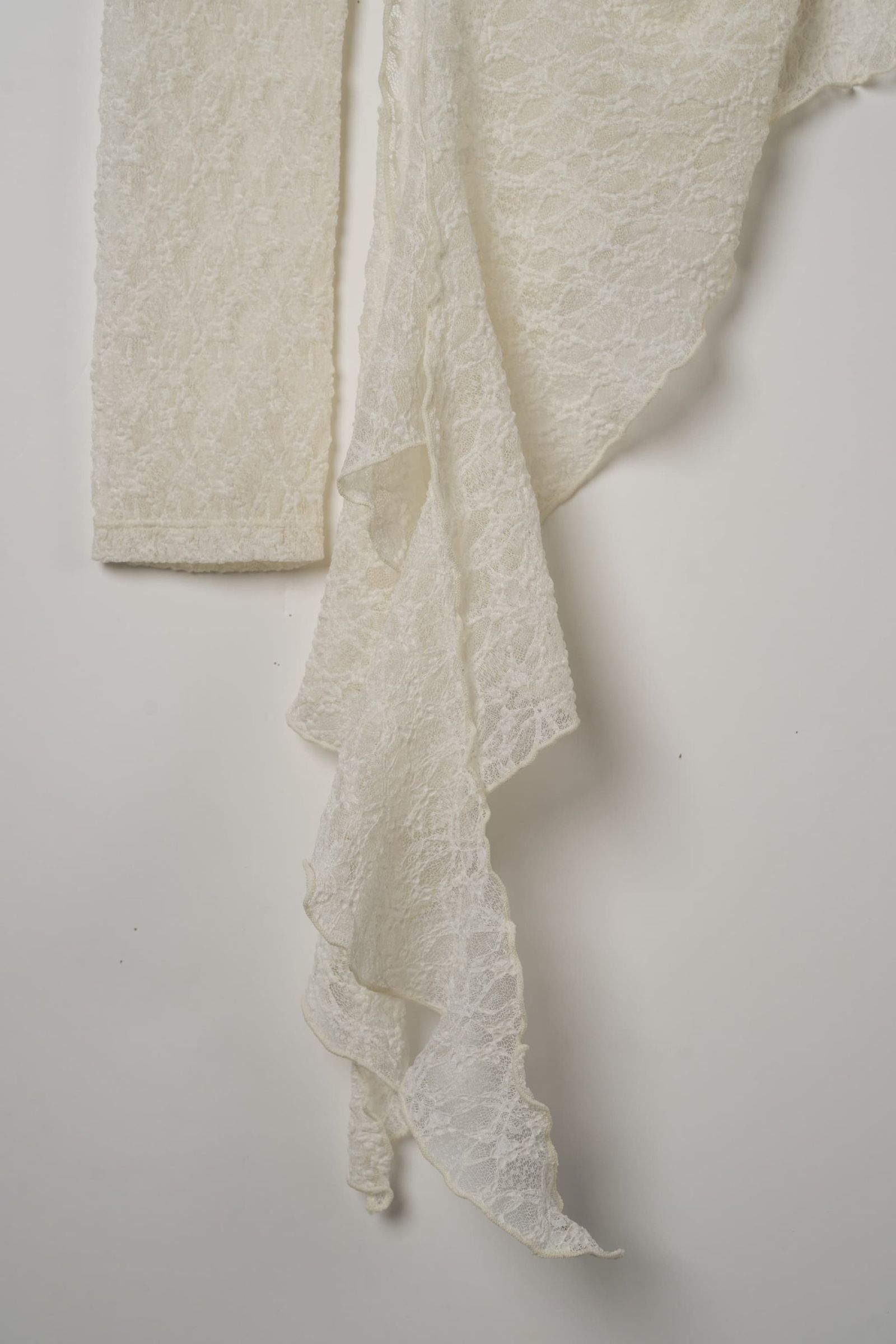 レーストップス (ホワイト) lace gathered top (White) / 26AW