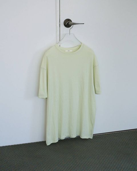シアーオーバーTシャツ (ライトグリーン) Sheer Over T-Shirts (Light green) / 26SS