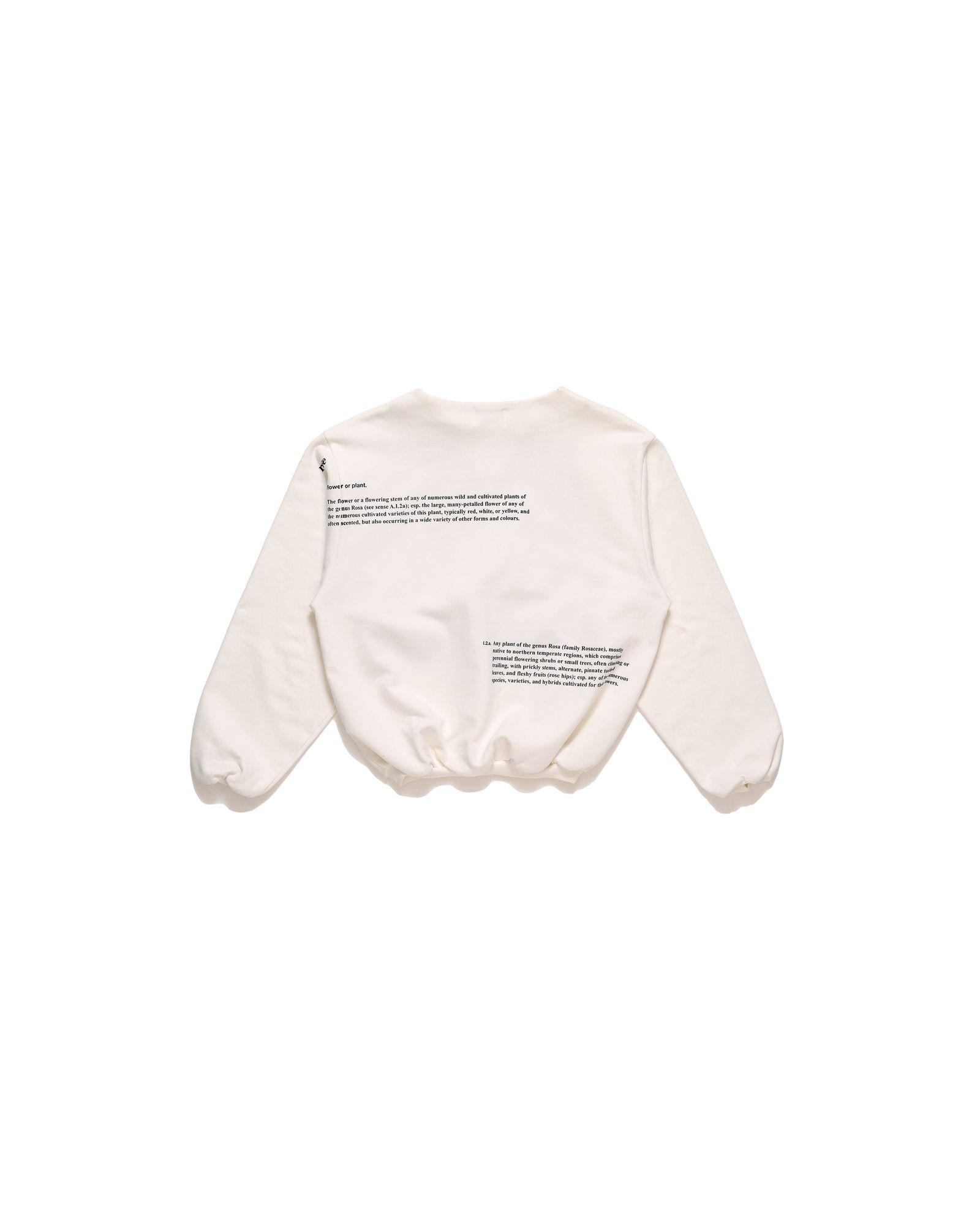 【25SS】THE SWEATSHIRT / 裏起毛スウェット (ホワイト) / レディース / メンズ
