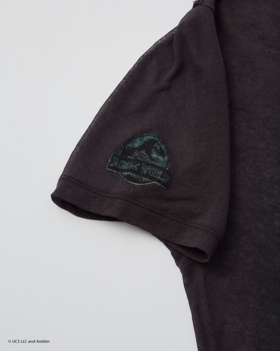 jurassic world sheer jersey big-T / ジュラシックワールドコラボ シアーTシャツ (グリーン)