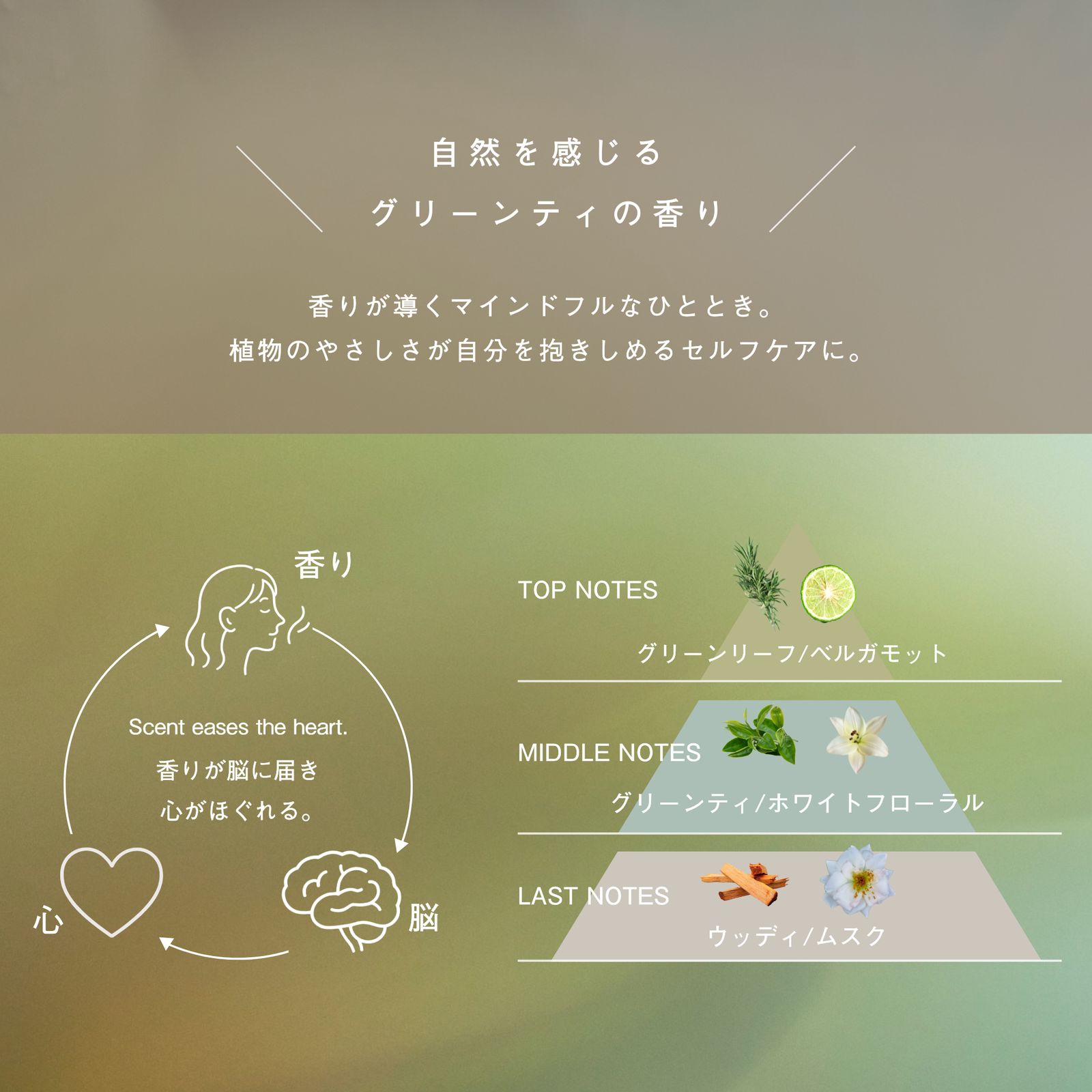 【人気No.2】LIVING OIL オーガニックセサミオイル 60mL