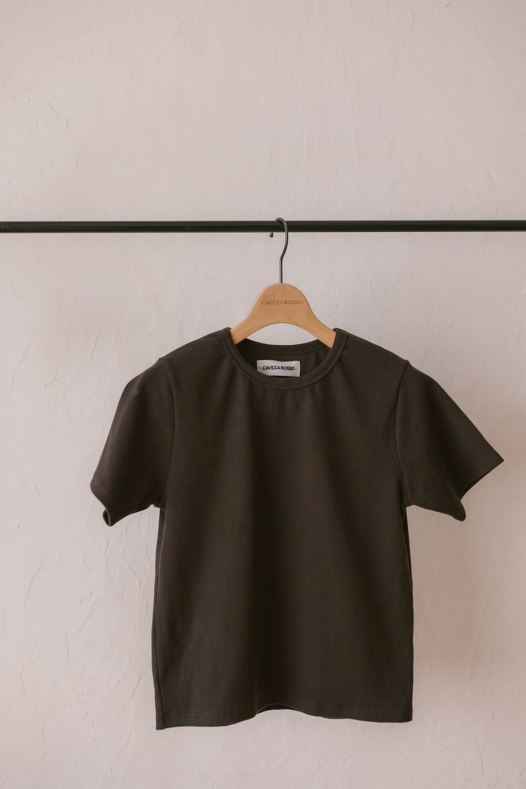 ベーシックスリムハーフスリーブTシャツ (ブラウン) Basic T-shirt (Brown) /  26SS