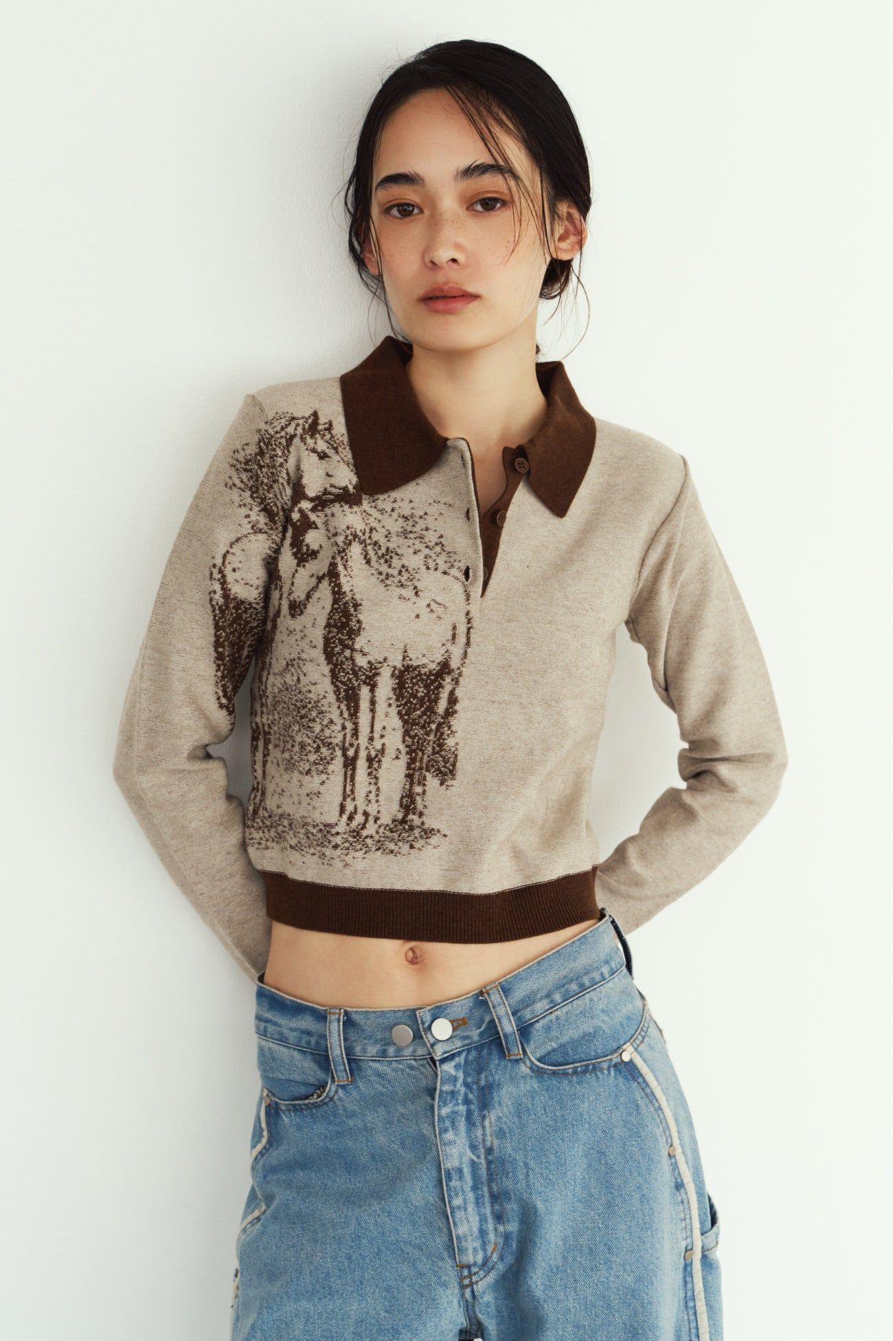ジャガードポロニット (ブラウン) jacquard polo knit (Brown) / 26AW