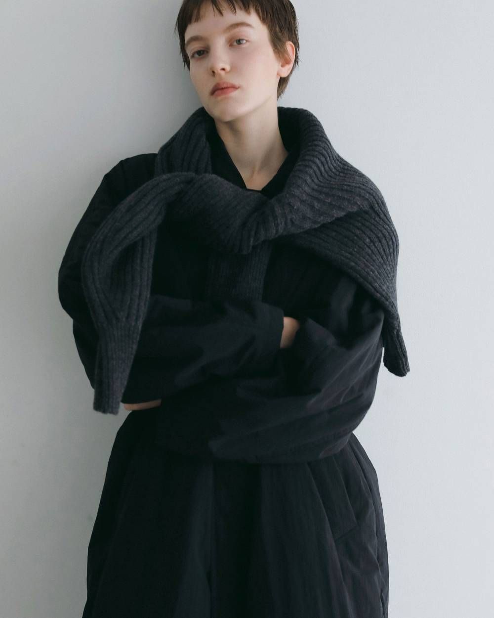 ハーフジップリブニット (チャコールグレー) Halfzip Rib Knit (Charcoal gray) / 26AW 【6月29日まで期間限定予約】