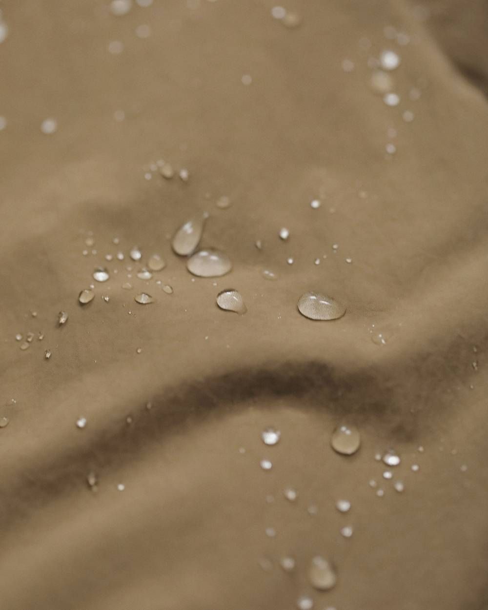 パッデッド ステンカラーコート (ベージュ) Padded Soutiencollar Coat (Beige) / 26AW 【6月29日まで期間限定予約】