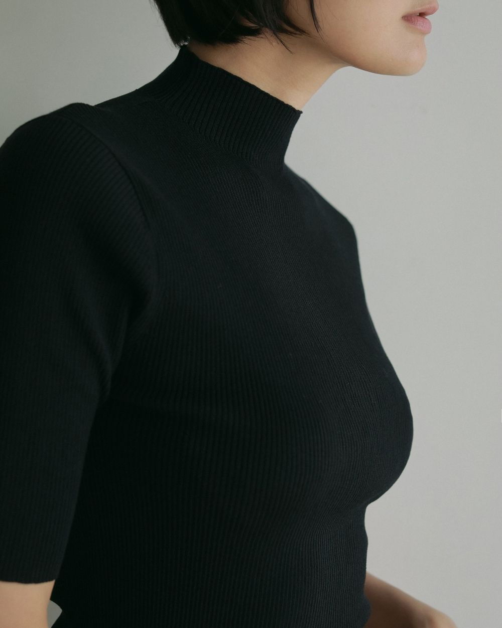 Halfsleeve Rib Knit / ハーフスリーブ リブニット (ブラック)