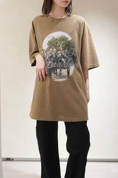 ラインストーングラフィックTシャツ (ベージュ) rhinestone graphic tee(unisex) (Beige) /  26SS