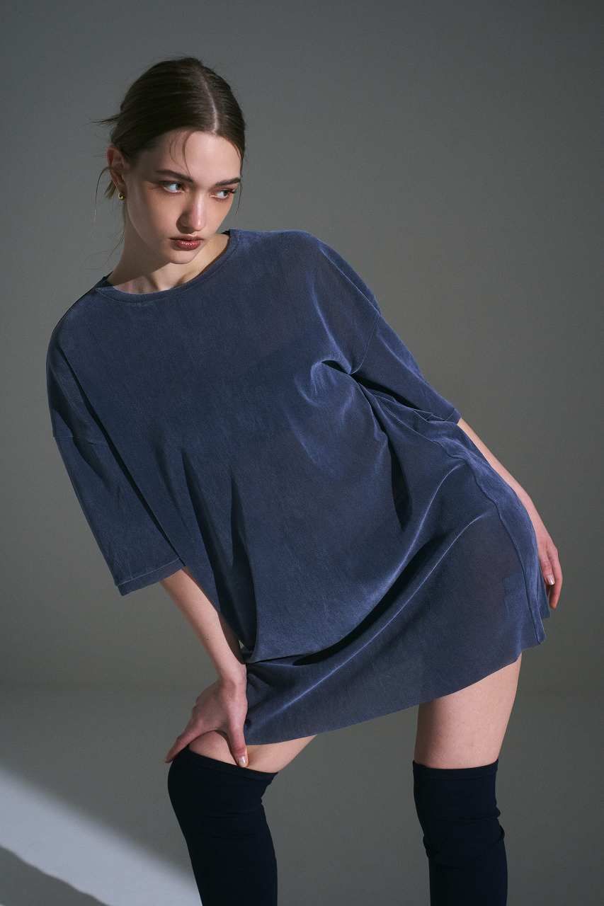 フロッキーチュールベアドレス (ブルーグレー) Flocked Tulle Dress (Blue Gray) /  26AW