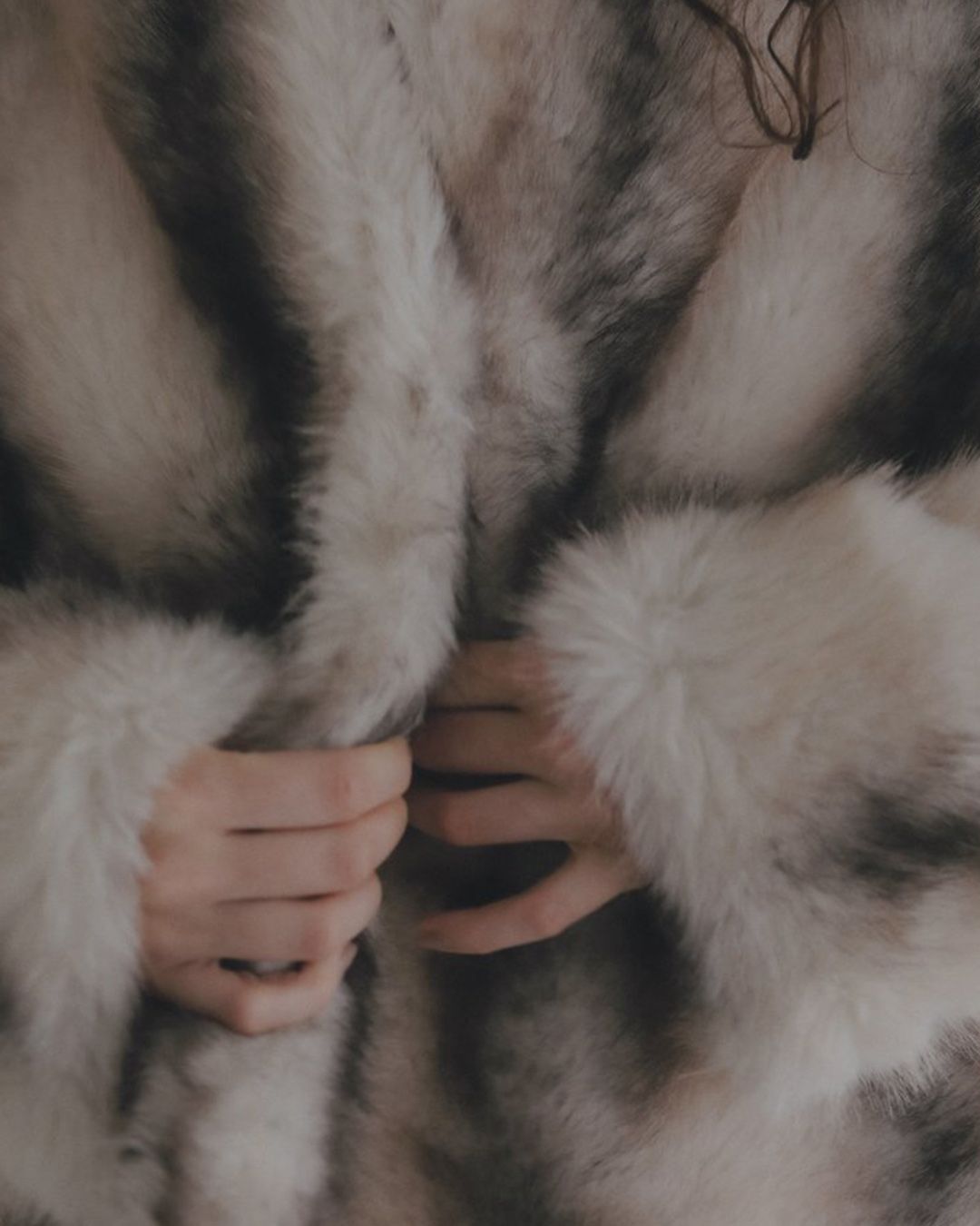 【先行予約】【26TH-08】ムートン調グラデーションファーコート (アイボリー) Mouton Like Gradation Fur Coat (Ivory) /  エコファー  /  フェイクファー 【受注期間6/14 23:59まで】