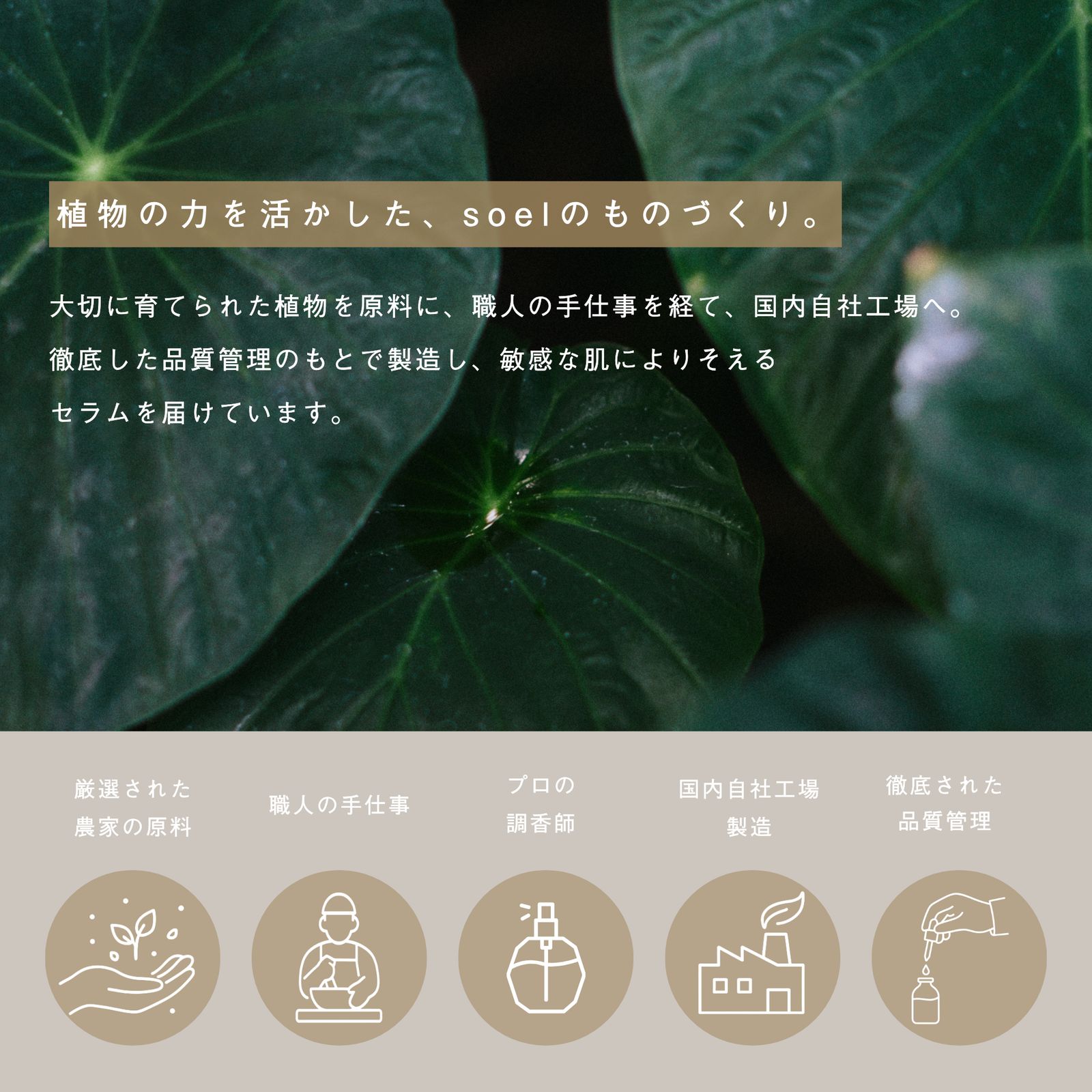 LIVING-OIL SERUM 美容液 60mL