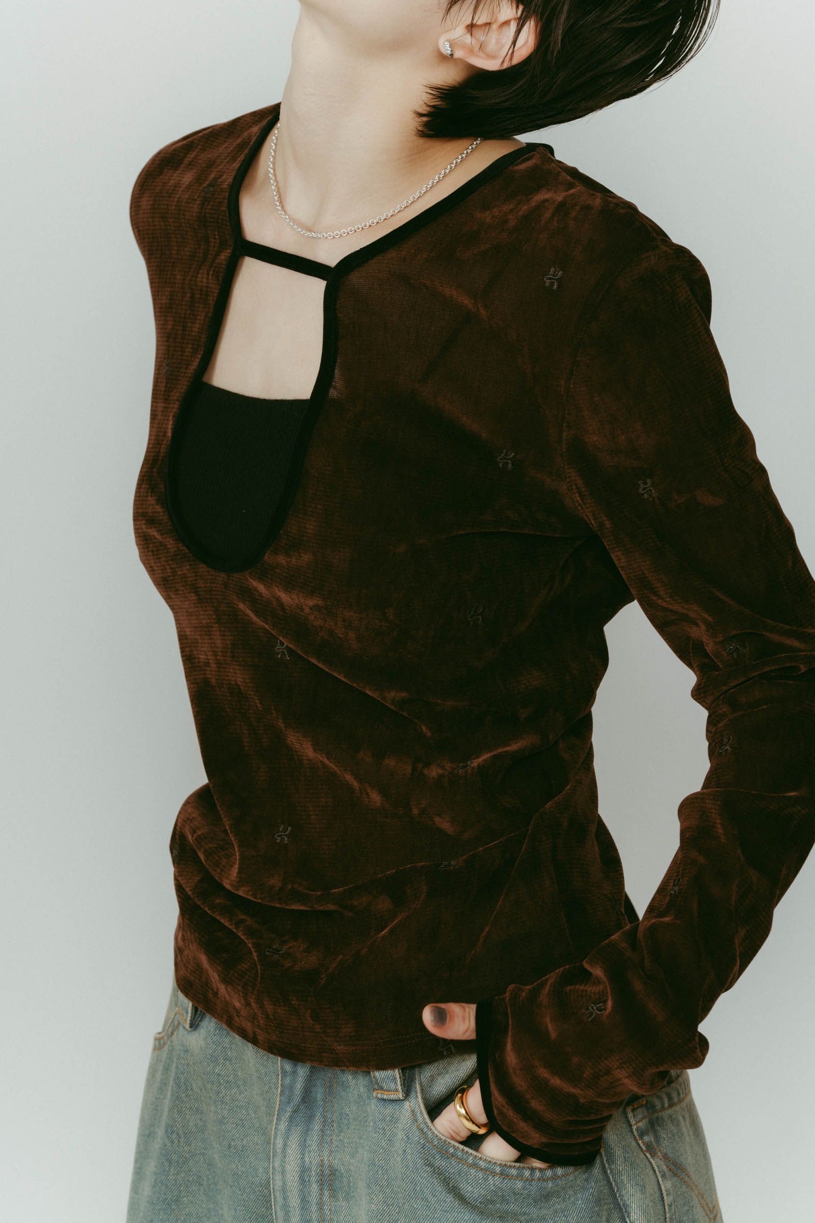 2way sheer velours tops / 2ウェイ シアートップス (ブラウン) / 25AW
