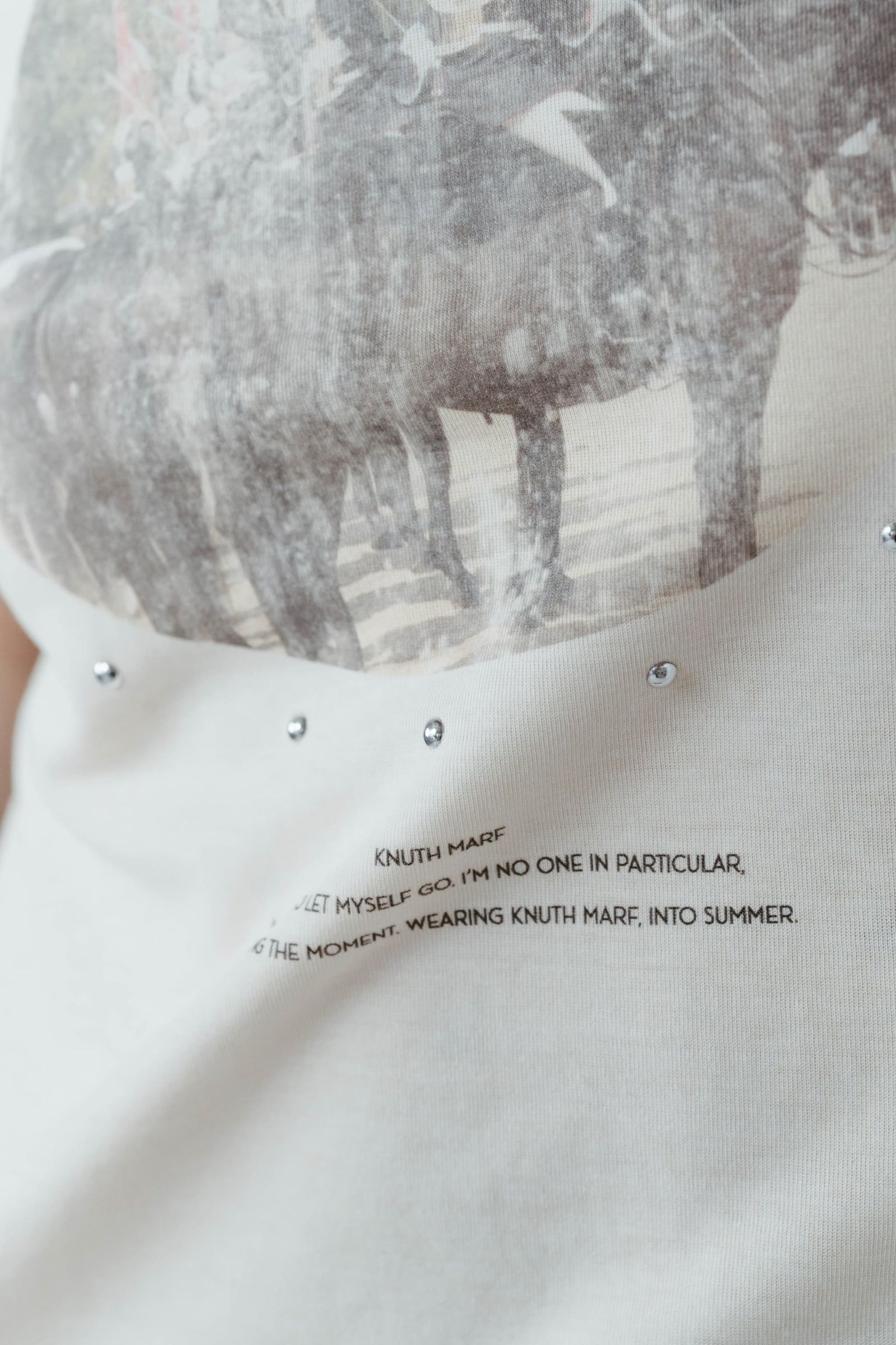 スタッズコンパクトTシャツ (アイボリー) studded compact tee (Ivory) /  26SS