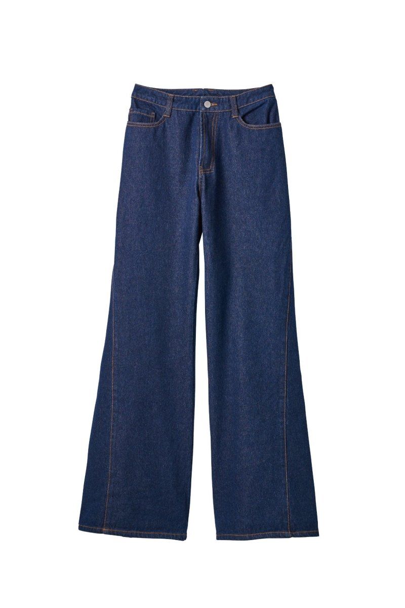 denim baggy pants(unisex) / デニムバギーパンツ (インディゴ) / 25AW