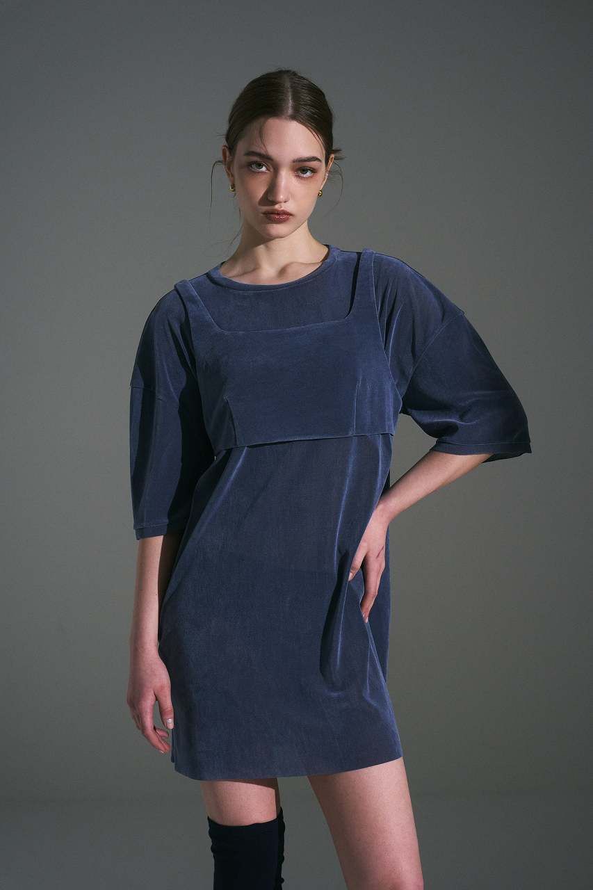 フロッキーチュールベアドレス (ブルーグレー) Flocked Tulle Dress (Blue Gray) /  26AW