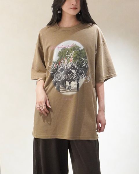 ラインストーングラフィックTシャツ (ベージュ) rhinestone graphic tee(unisex) (Beige) /  26SS