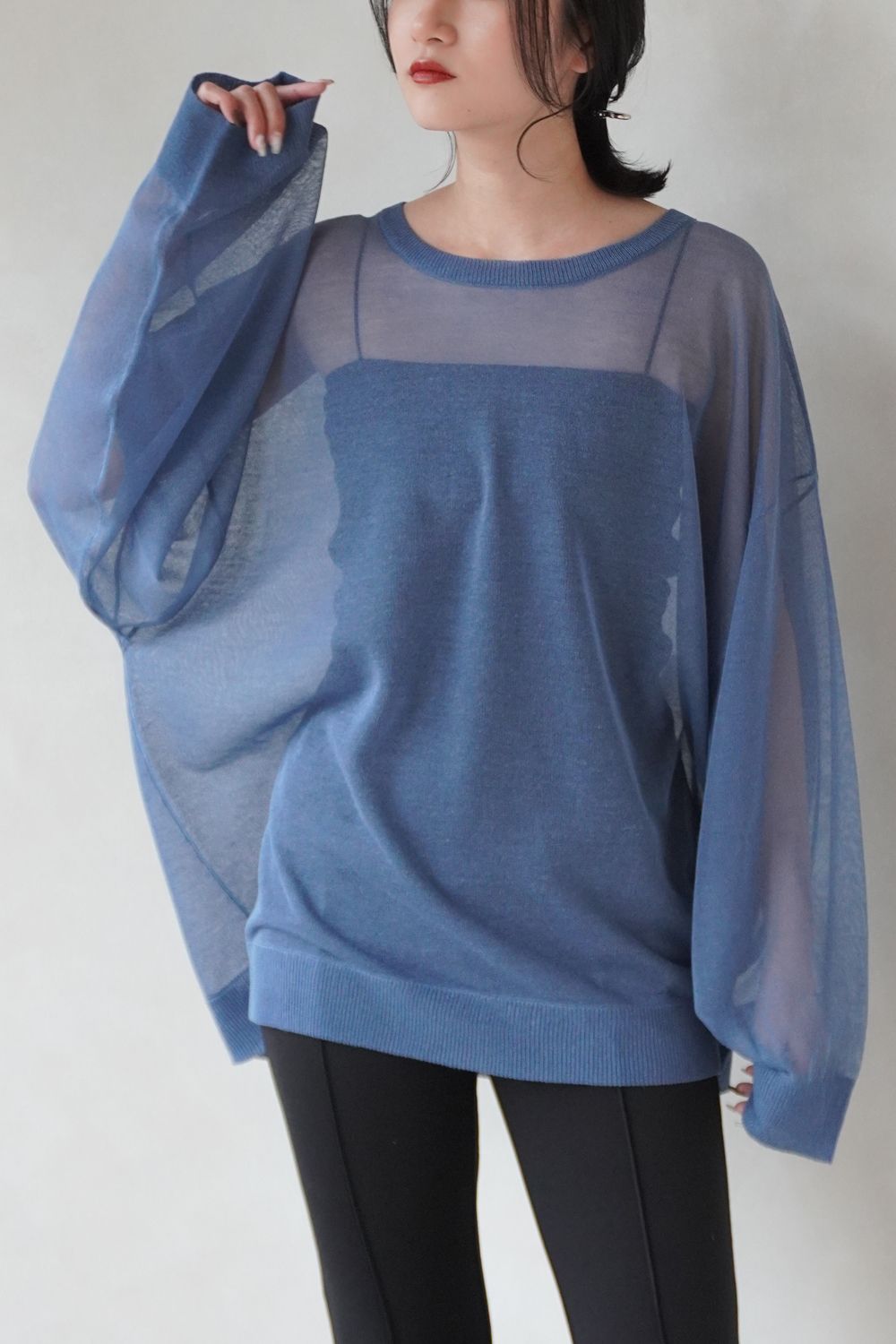 SHEER KNIT TOPS / シアーニットトップス (ブルー)