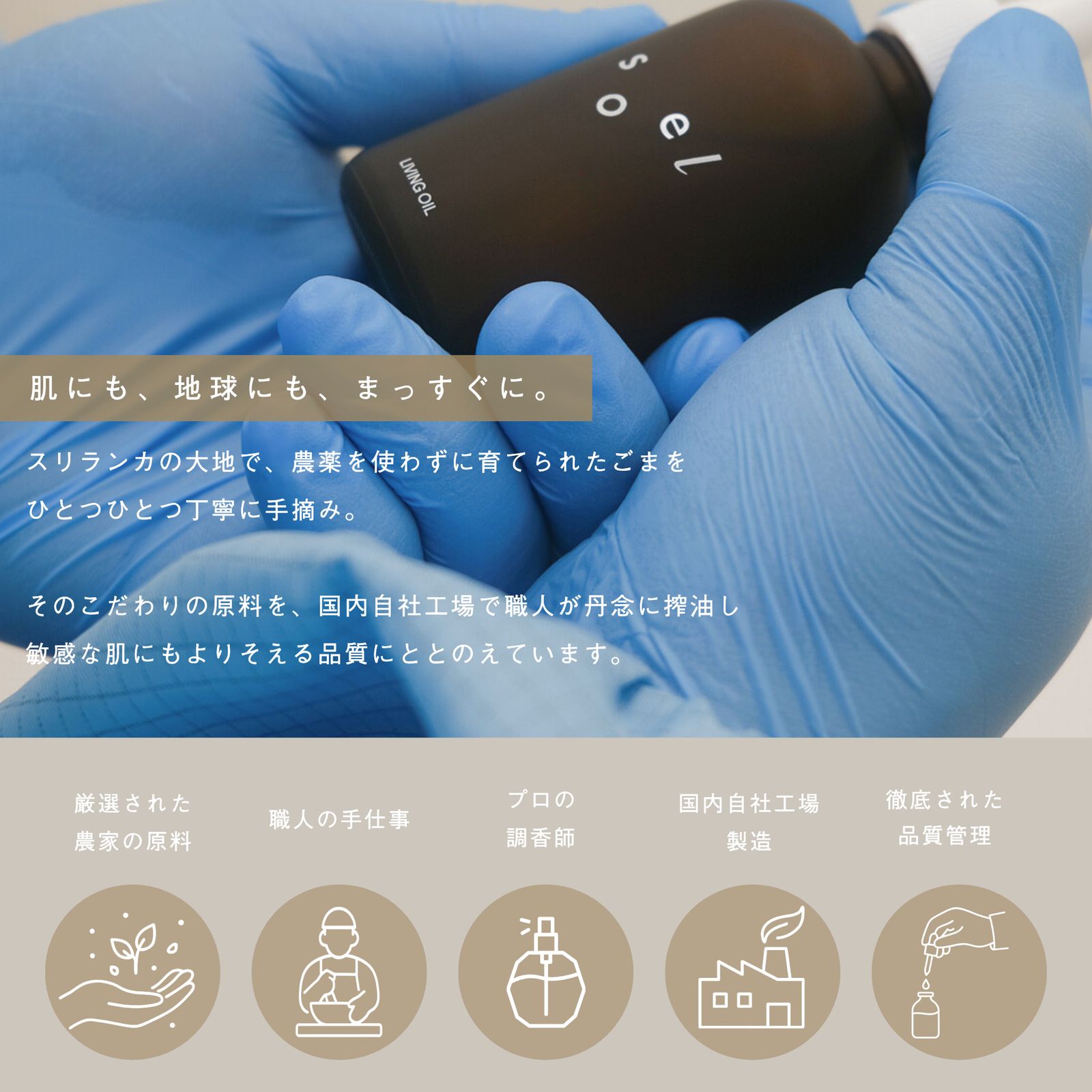 【人気No.2】LIVING OIL オーガニックセサミオイル 60mL