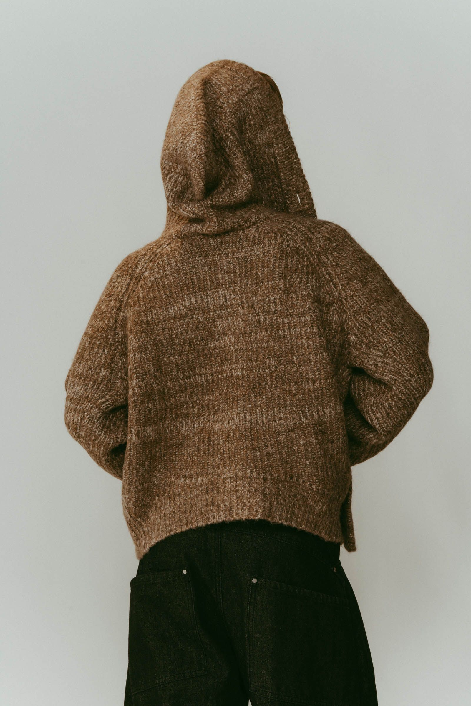 hooded cardigan knit / フーデッド カーディガンニット (ブラウン) / 25AW