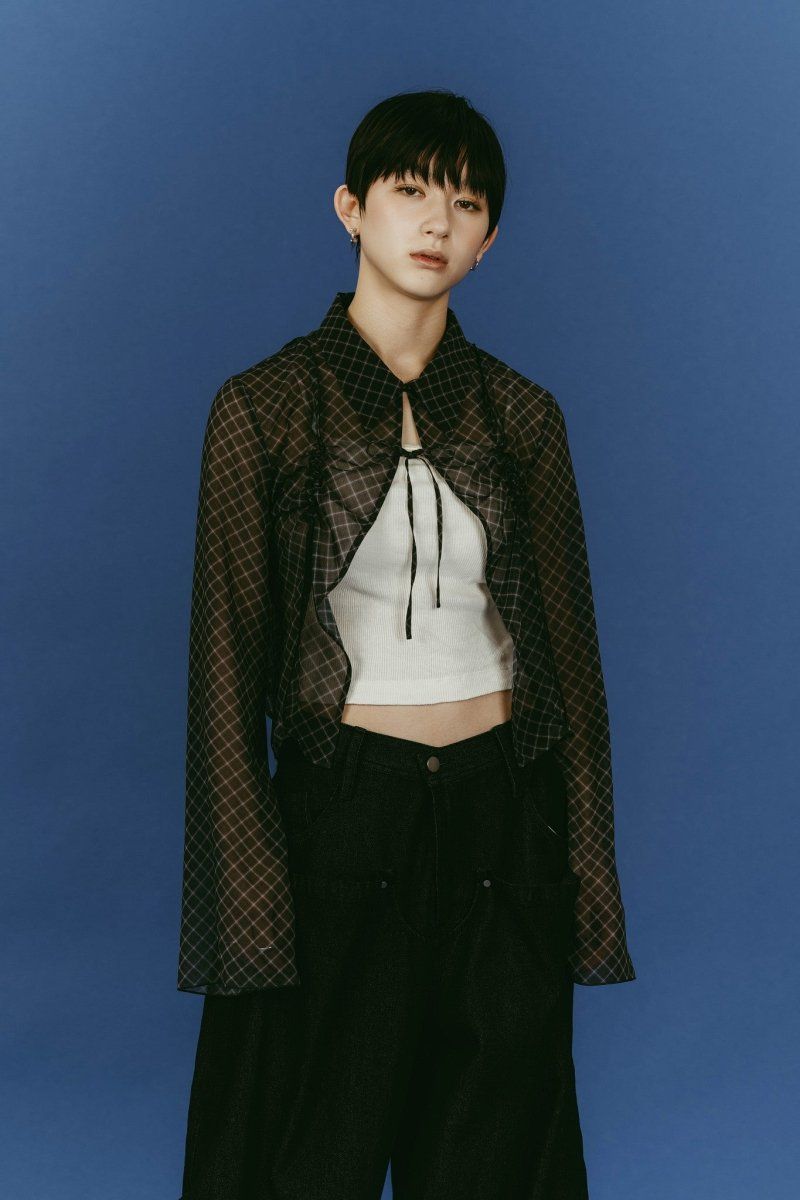 sheer collared blouse (Black) / シアー ブラウス (ブラック) / 26SS