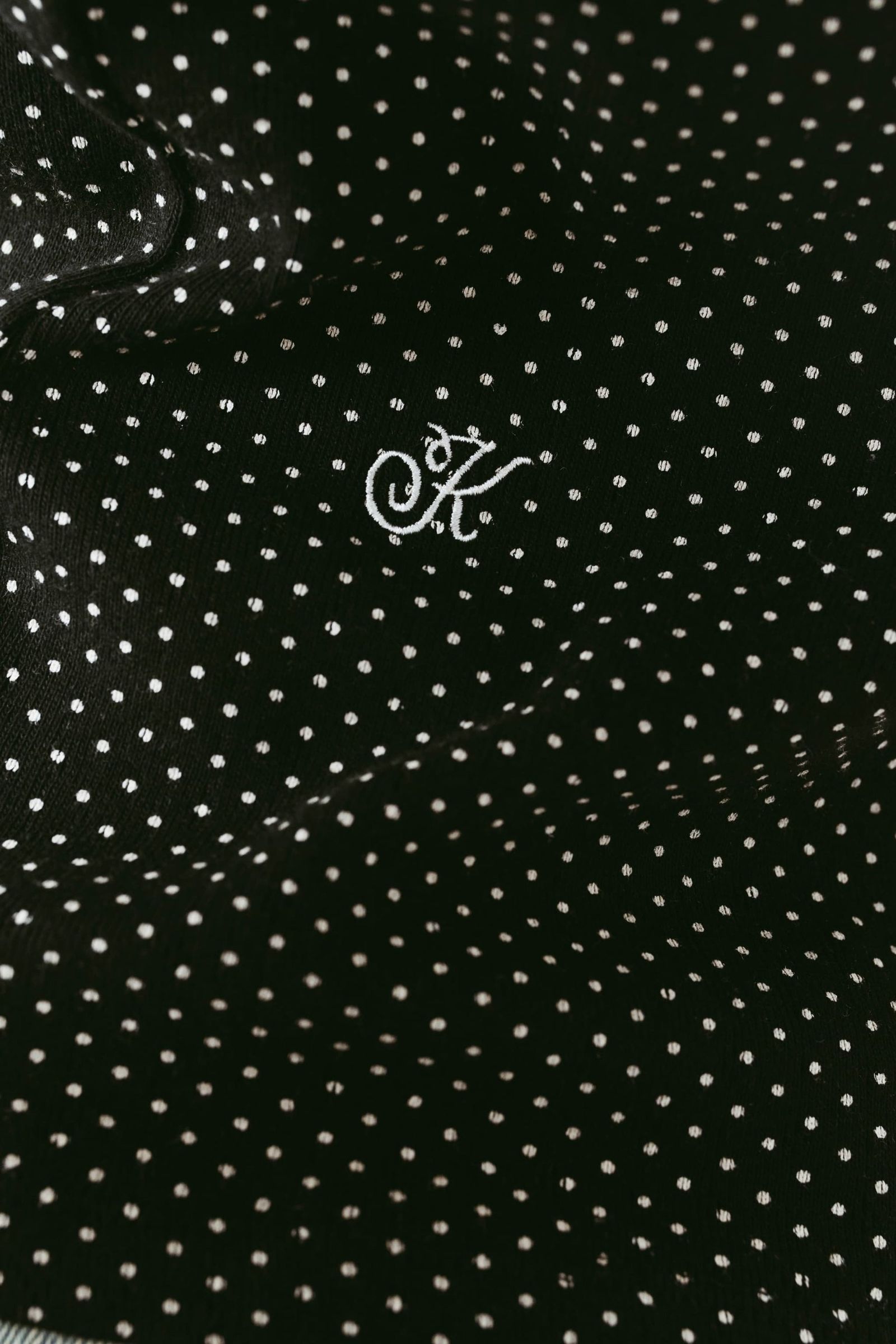 レイヤード クルーネックTシャツ (ドット) layered crewneck tee (Dot) /  26SS