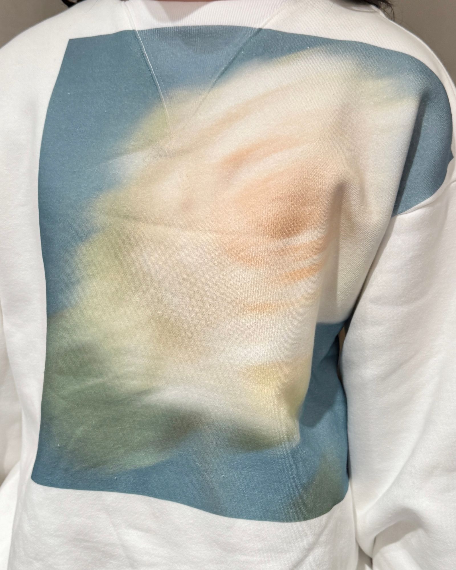 【25SS】THE SWEATSHIRT / 裏起毛スウェット (ホワイト) / レディース / メンズ
