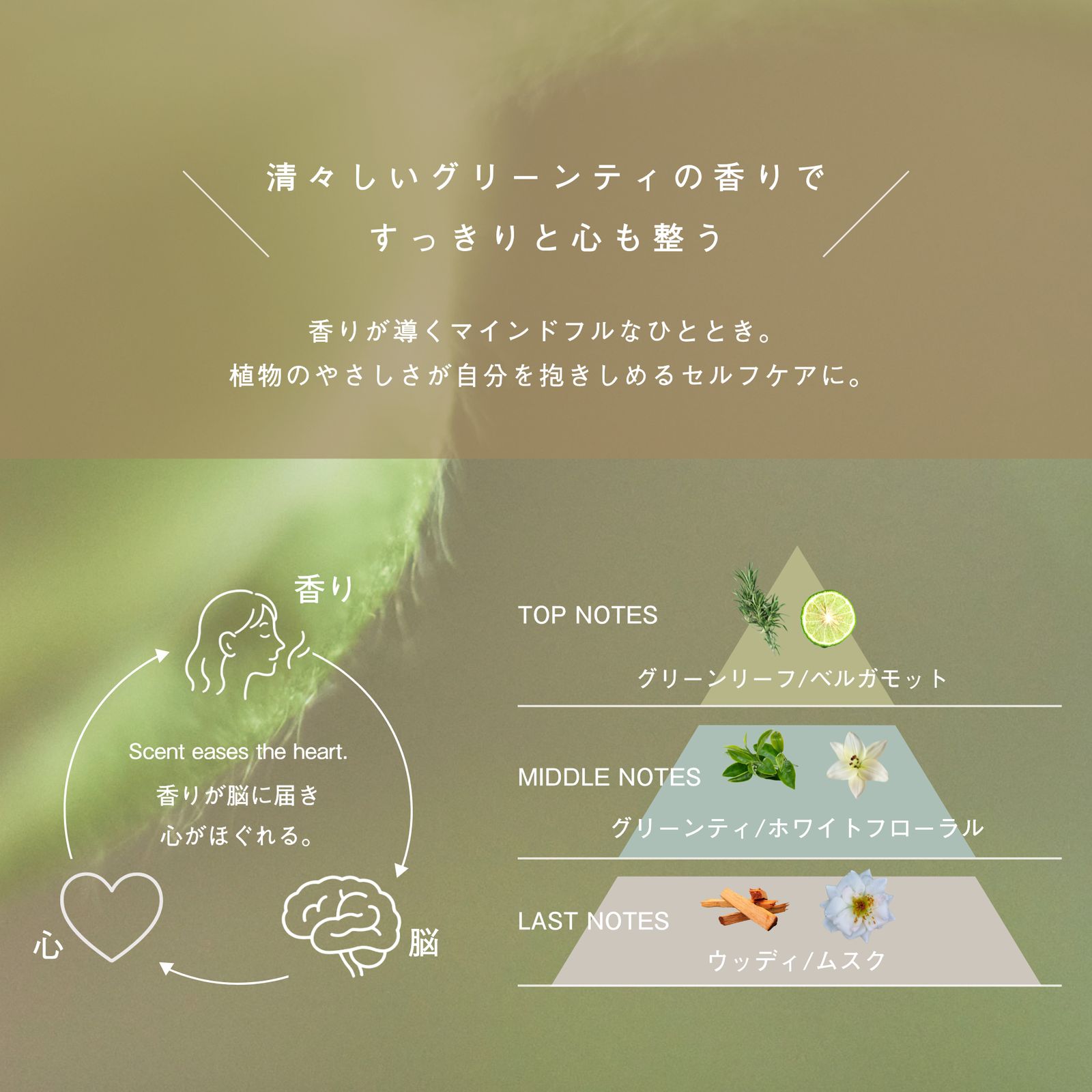 LIVING-OIL LOTION 化粧水 120mL