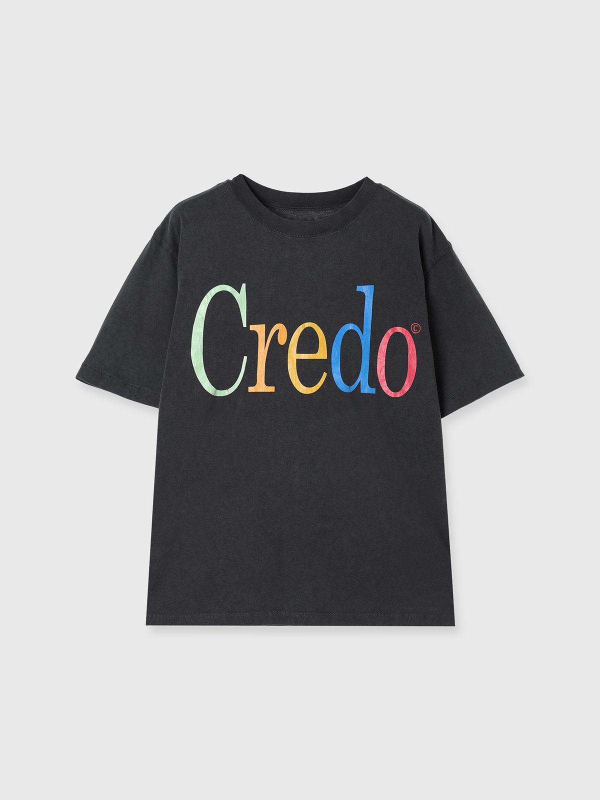 【25SS】PARMANENT TEE / パーマネント Tシャツ (ミックス)