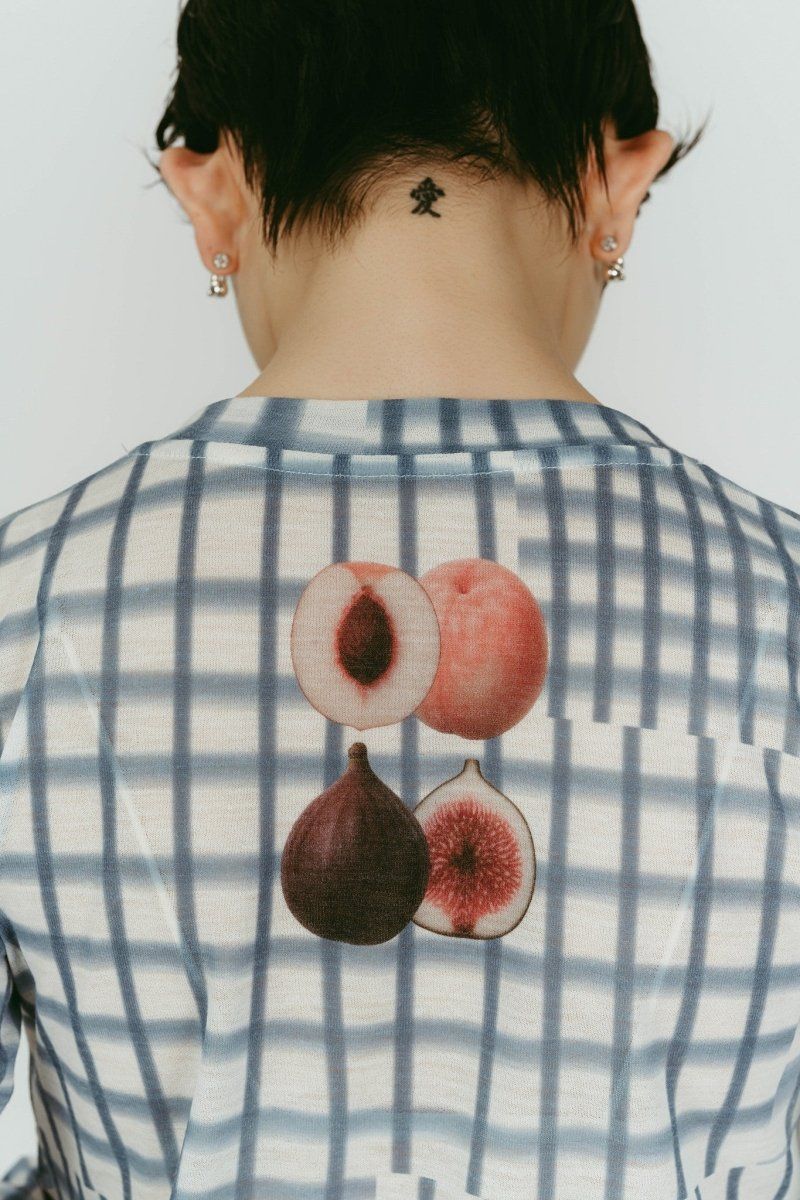 fruit-check print knit (Blue) / フルーツチェックトップス (ブルー) / 26SS