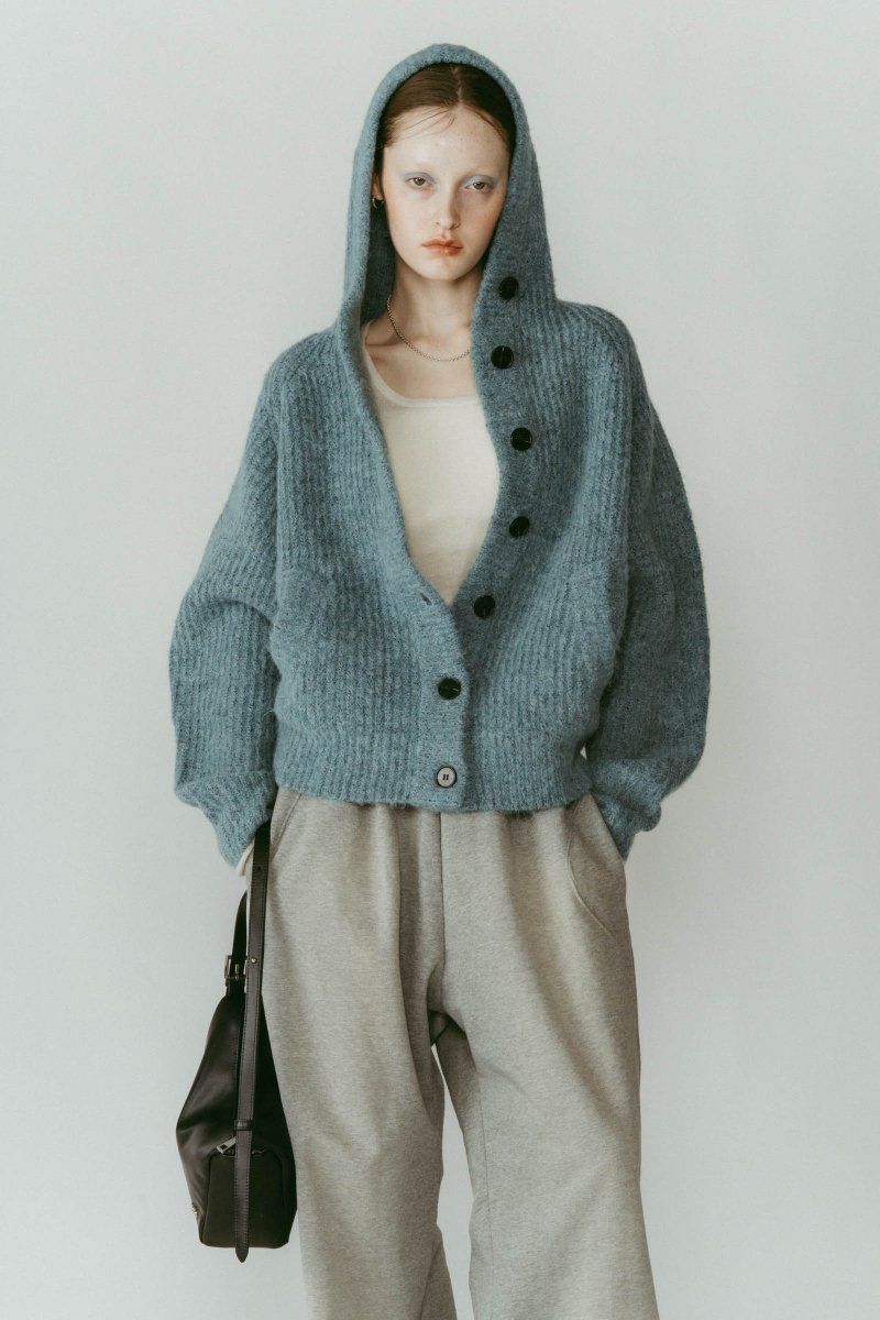 hooded cardigan knit / フーデッド カーディガンニット (ブルー) / 25AW