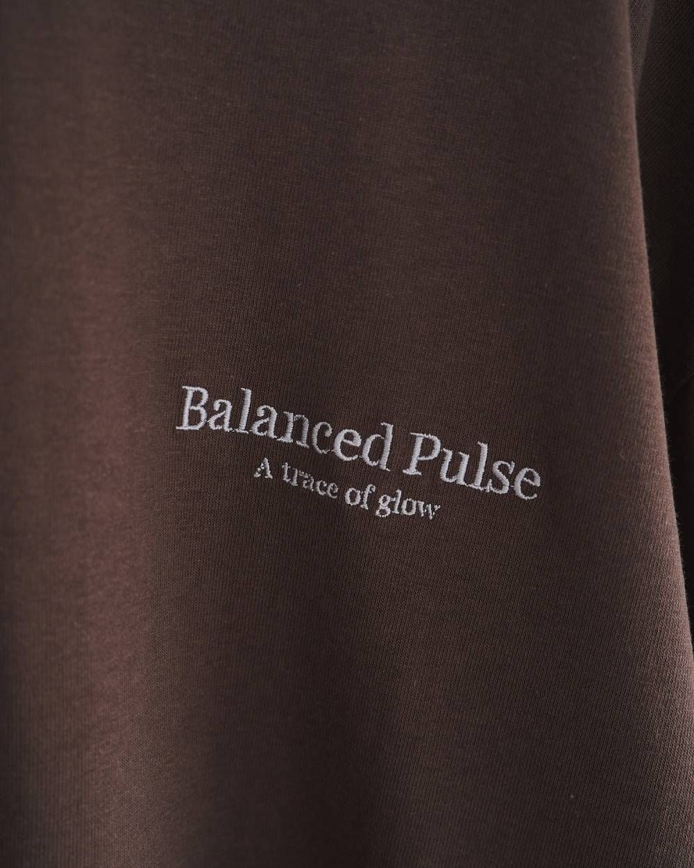 Logo Long T-Shirts / ロゴ ロングスリーブTシャツ (Brown) / 26SS