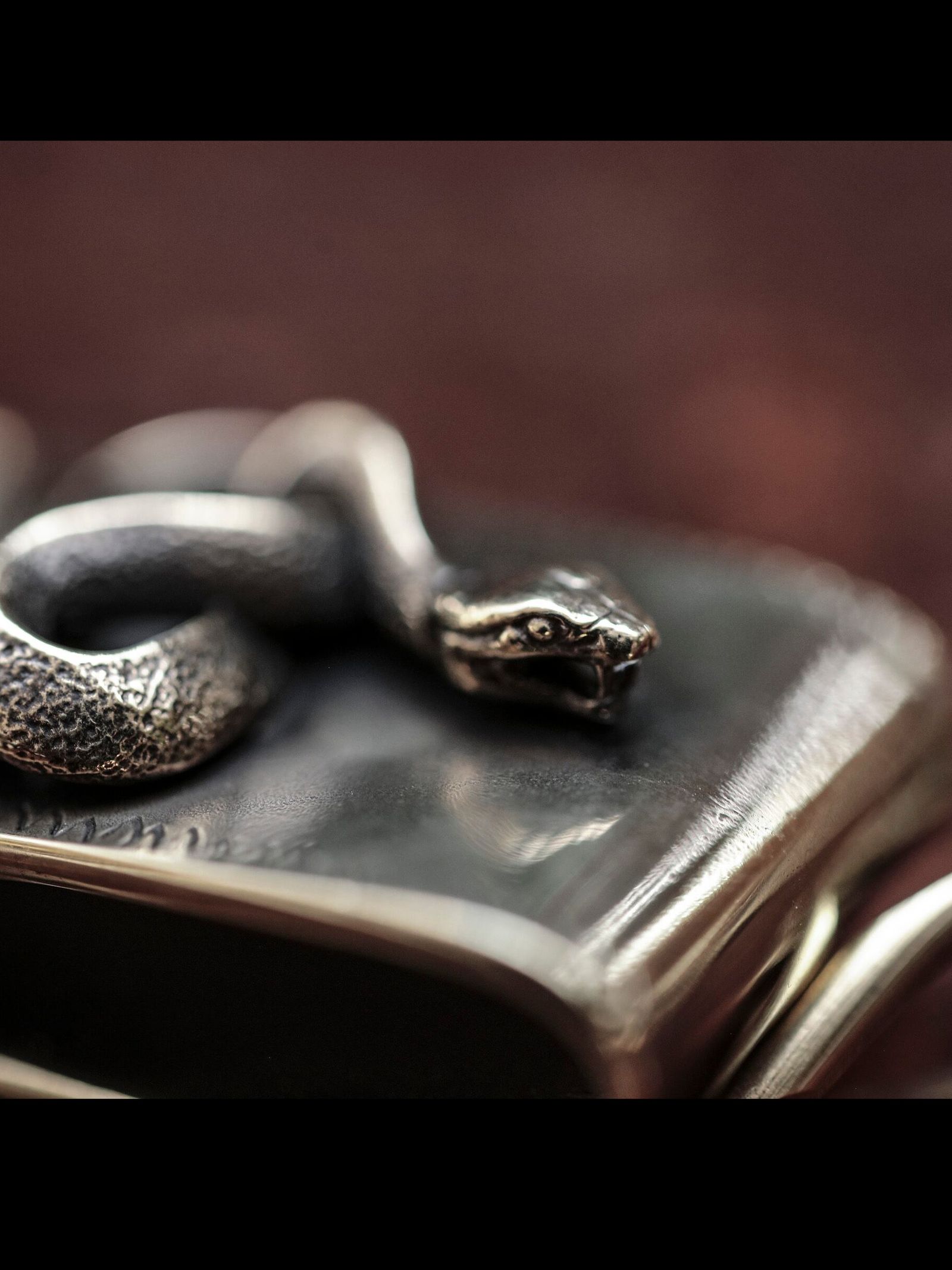 SNAKE CLIP TYPE WALLETCHAIN (BRASS)