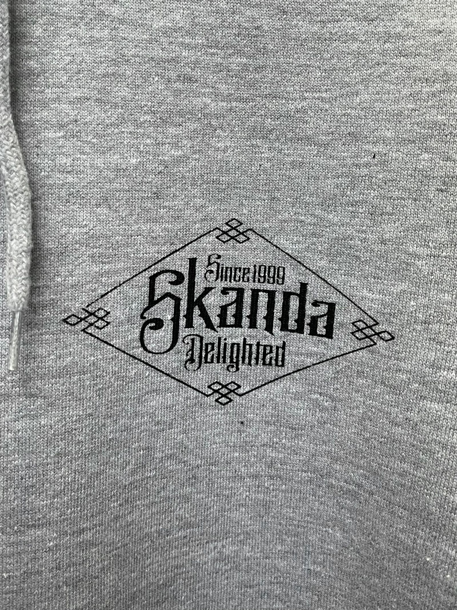 DRAGONORIGNAL HEAVY OZ PULLOVER (GRAY)