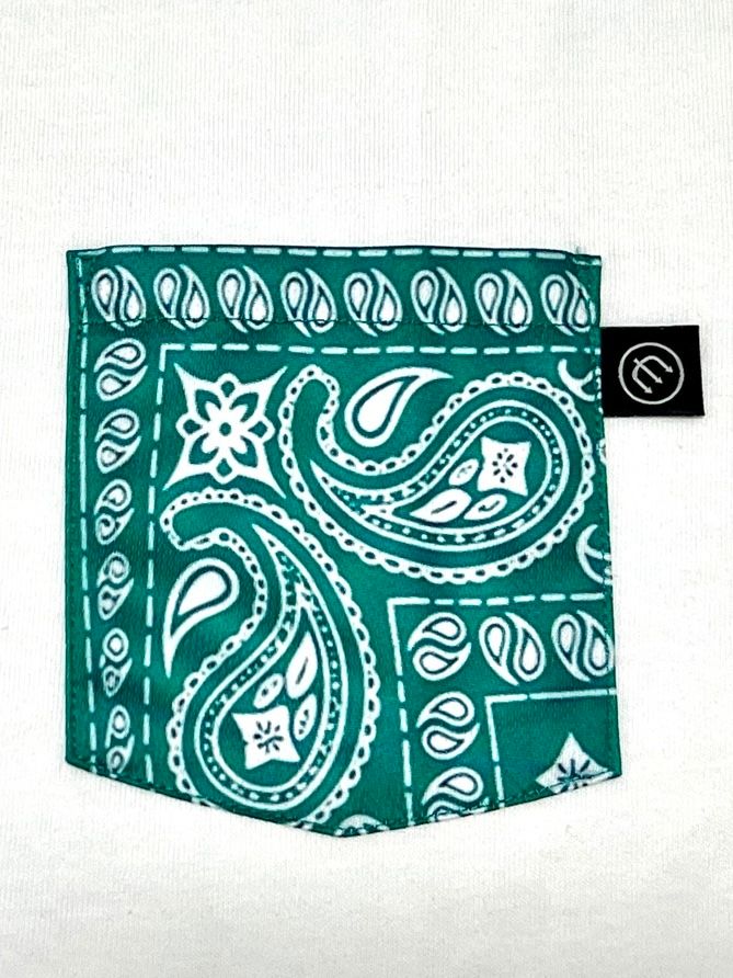 PAISLEY P/K TEE (WHT×GRN)