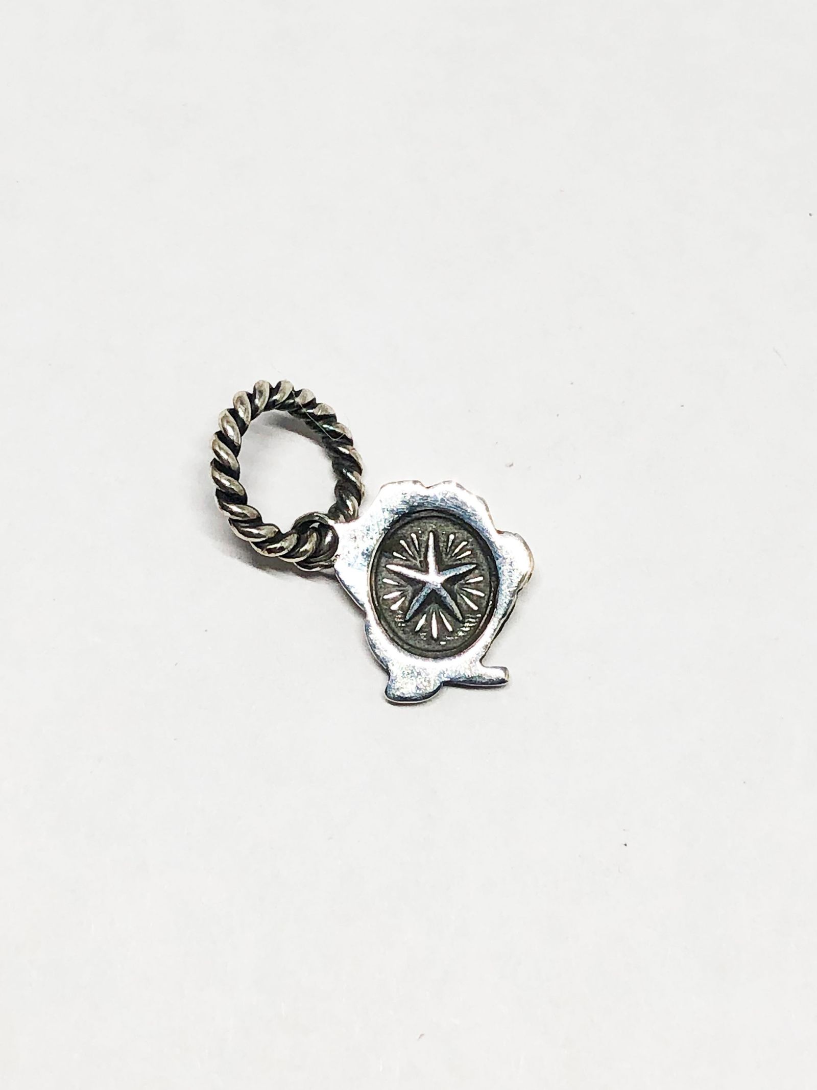 ROSE NECKTOP (SILVER925)