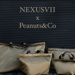 NEXUSVII x PEANUTS&CO. "FLIGHT NYLON 2WAY TOTE" XL size