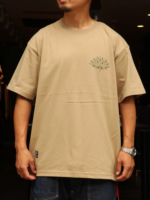 "CENTURY PLANTS" S/S TEE (SAND)