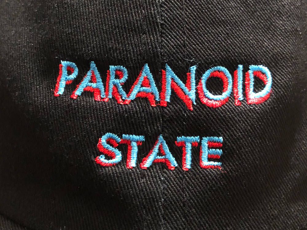 TOYPALNE...PARANOID STATE