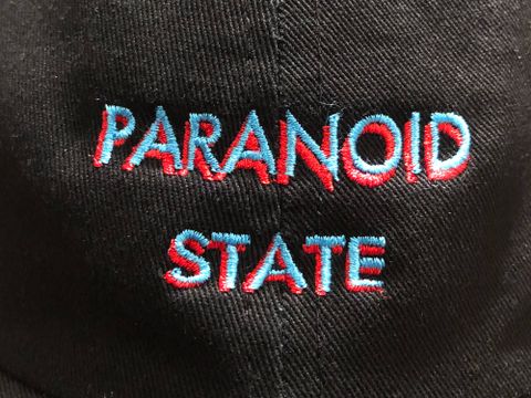 TOYPALNE...PARANOID STATE