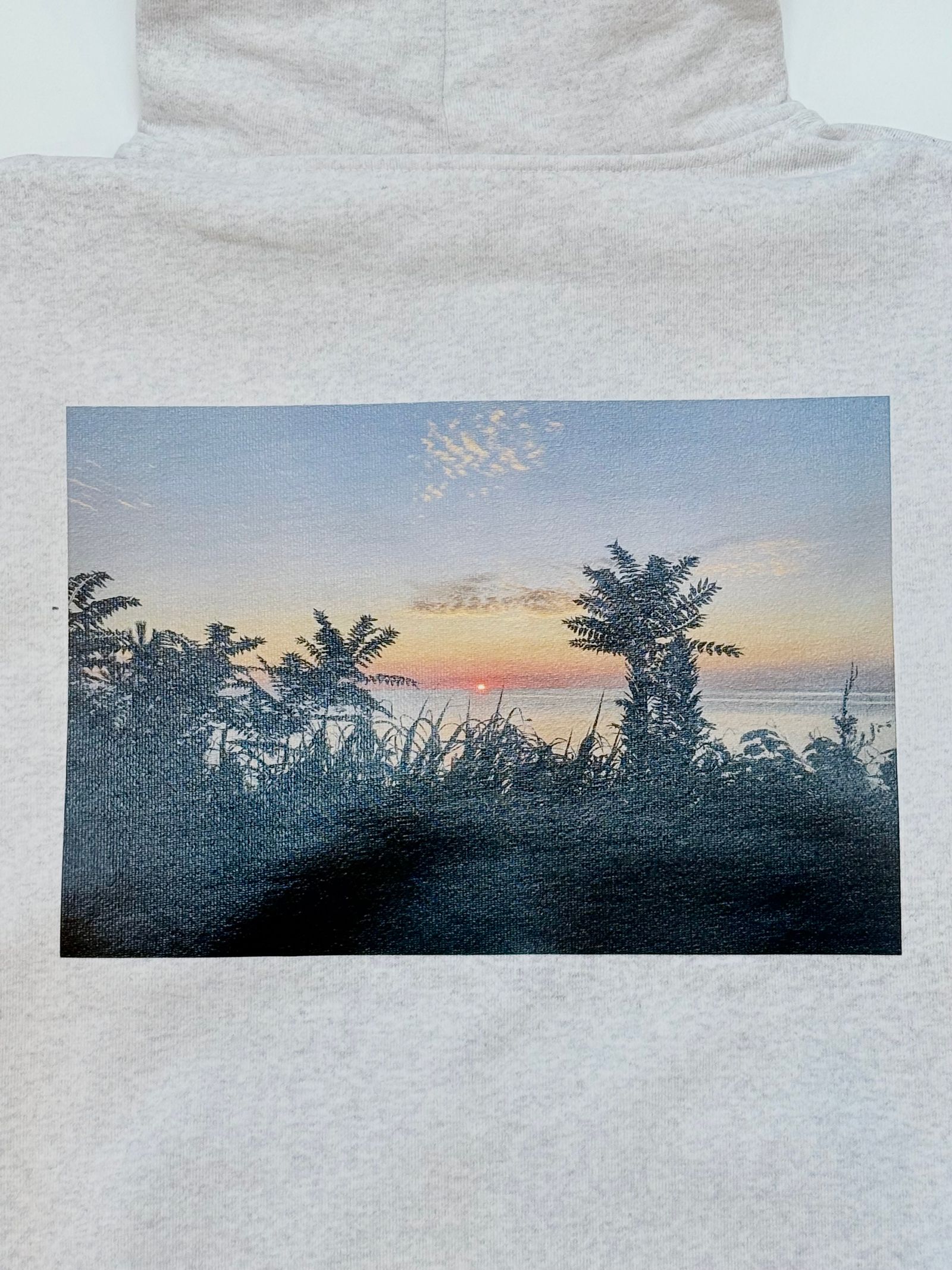 "ENCOUNTER" PHOTO FULL ZIP HOODIE (ASH GRAY)