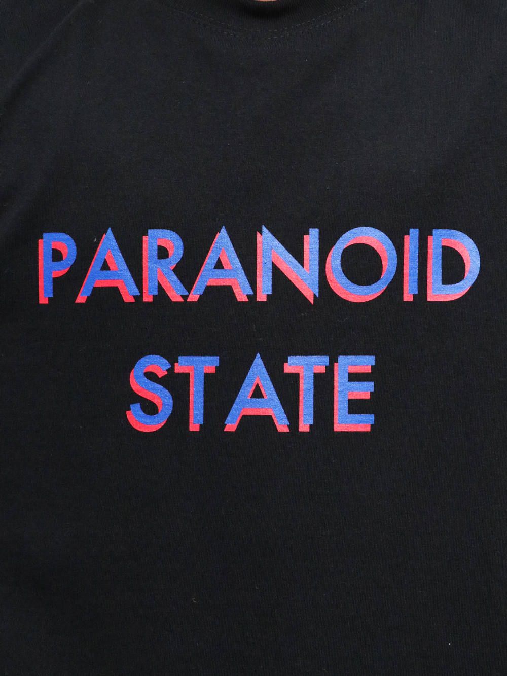 ロングスリーブパラノイドステイトTシャツ (ブラック) / L/S PARANOID STATE TEE (BLACK)
