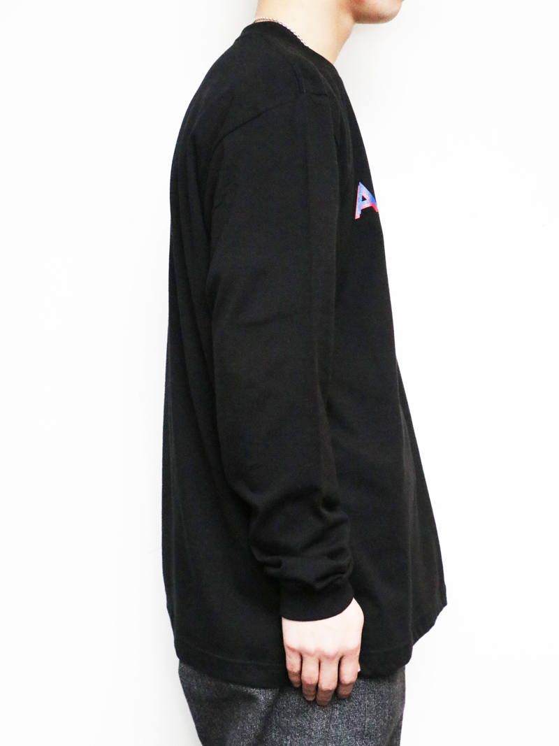 ロングスリーブパラノイドステイトTシャツ (ブラック) / L/S PARANOID STATE TEE (BLACK)